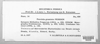 Puccinia graminis image